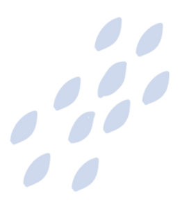 IMSA Business